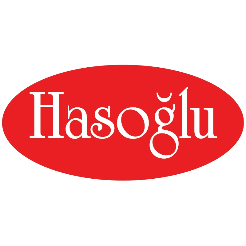 Hasoglu Web Design
