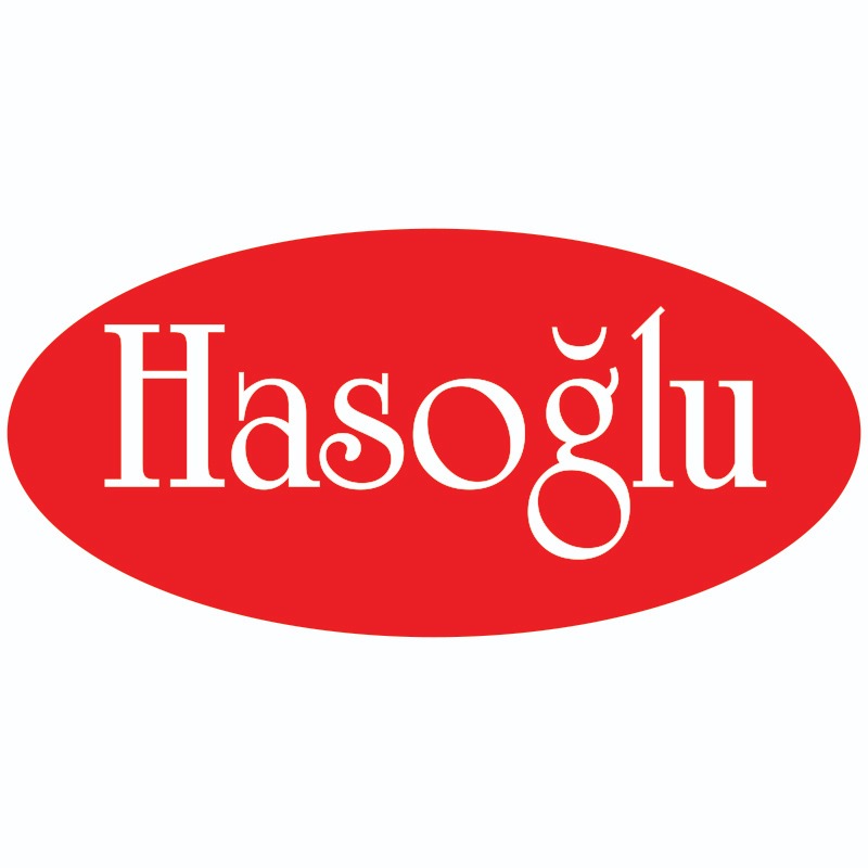 Hasoglu Web Design