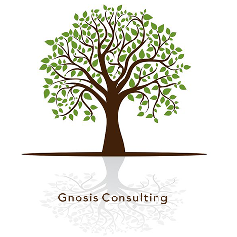 Gnosis Consulting LLC
