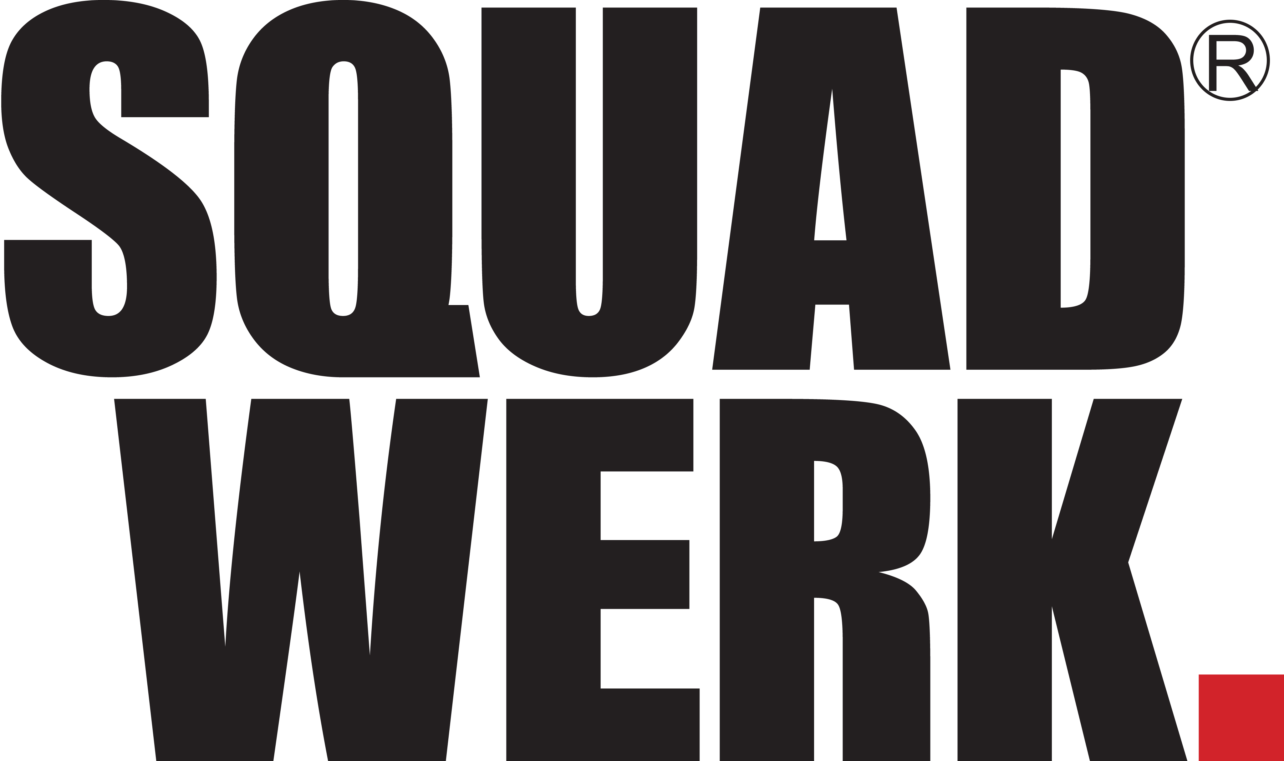 Squadwerk