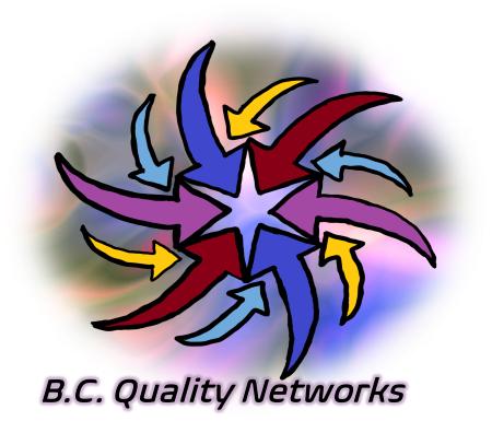 B.C. QUALITY NETWORKS LLC