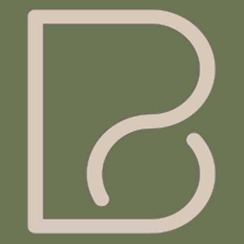 Brie Digital Marketing