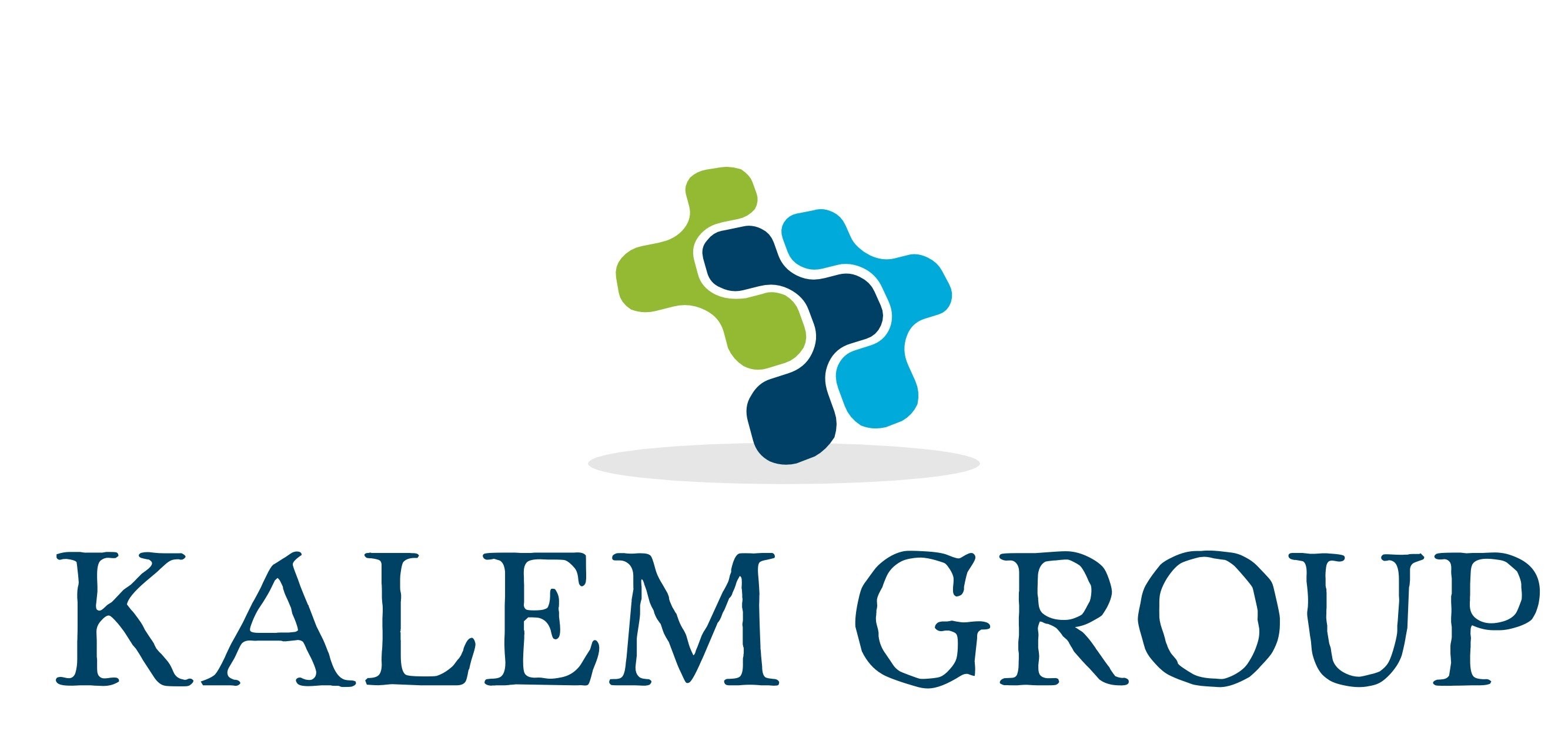 Kalem Group