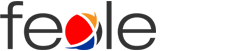 Fexle Infotech Private Limited