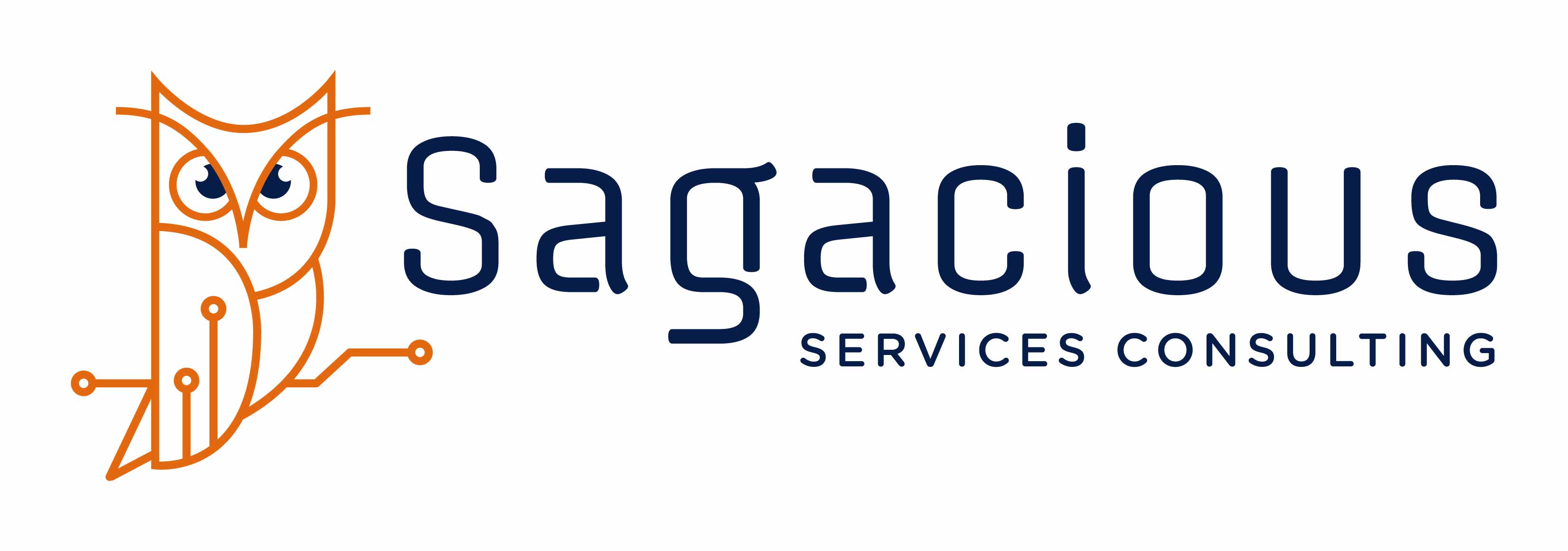 Sagacious Services Consulting