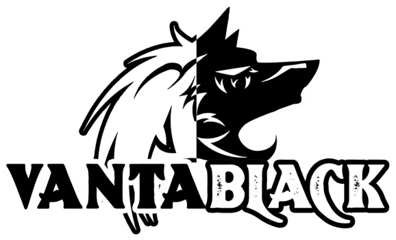 VantaBlack Web Hosting