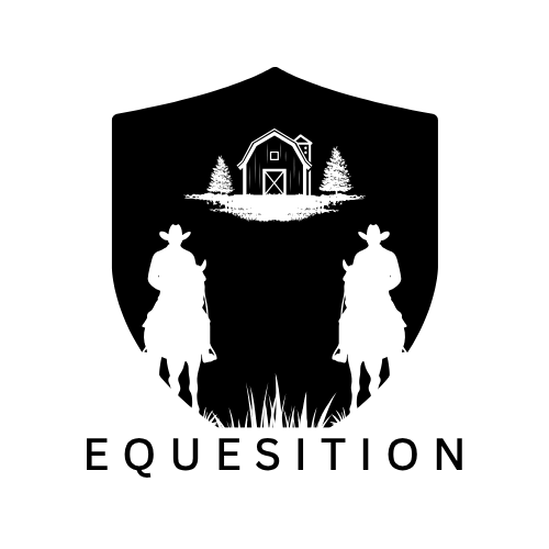 Equesition