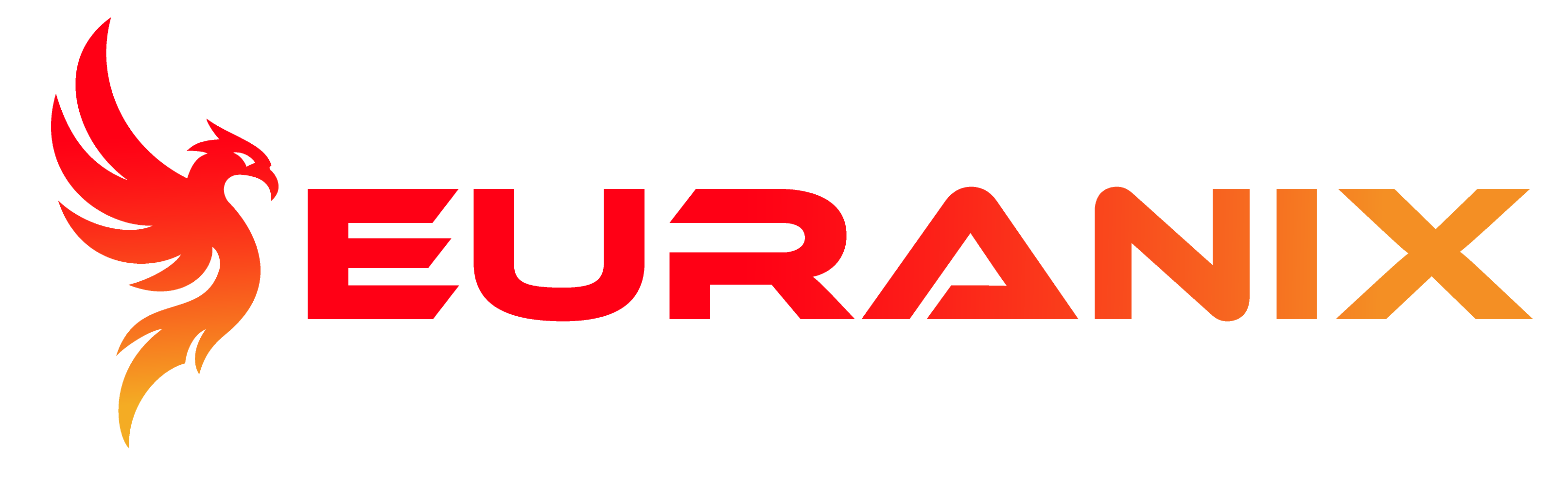 Euranix Technologies Private Limited