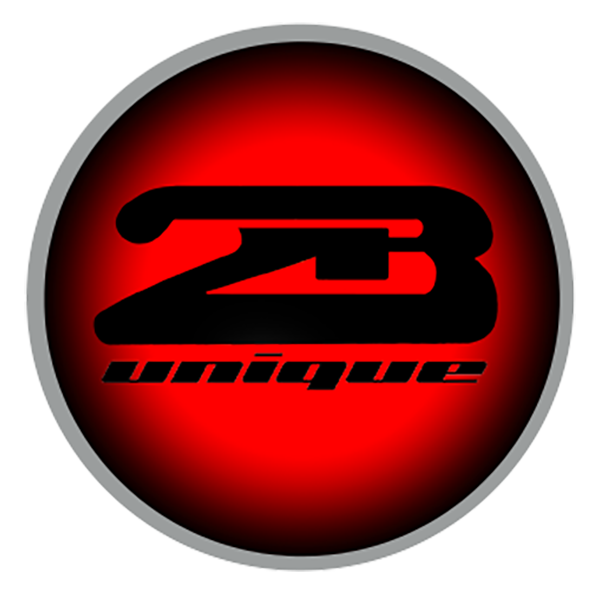 2B Unique Web Solutions