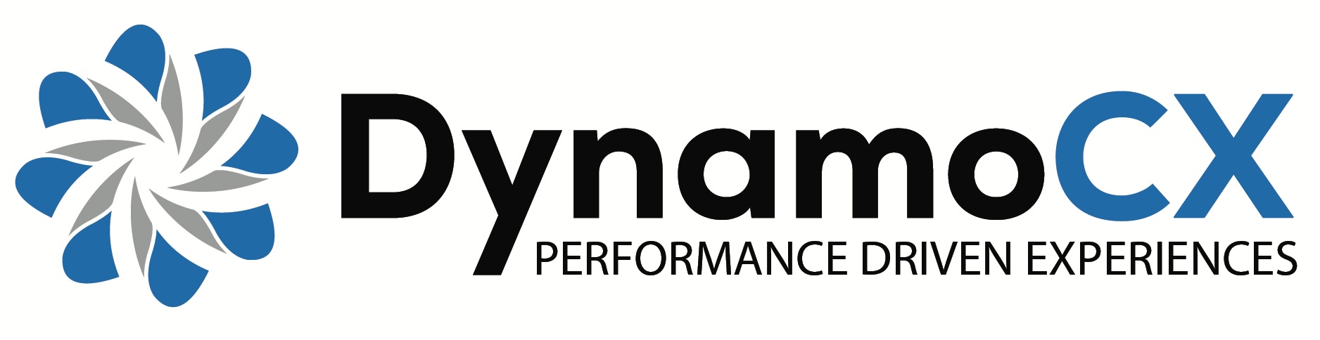 Dynamo Domains