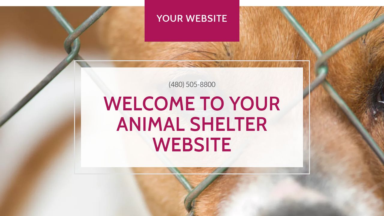 Be <strong>Animal Shelter</strong> – BeTheme - themes.muffingroup.com Animal shelter website templates