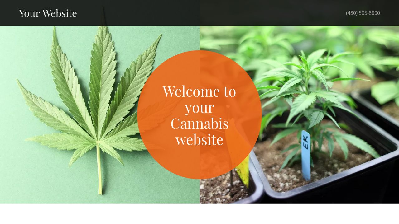 Cannabis Website Templates GoDaddy