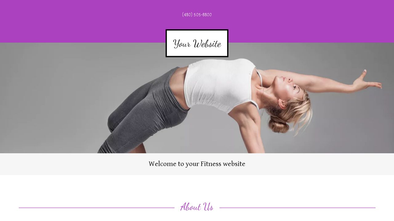 Fitness Website: Example 15