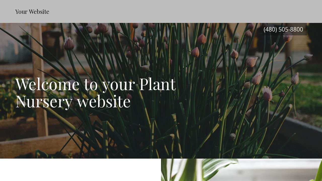 Example 16 Plant Nursery site Template GoDaddy