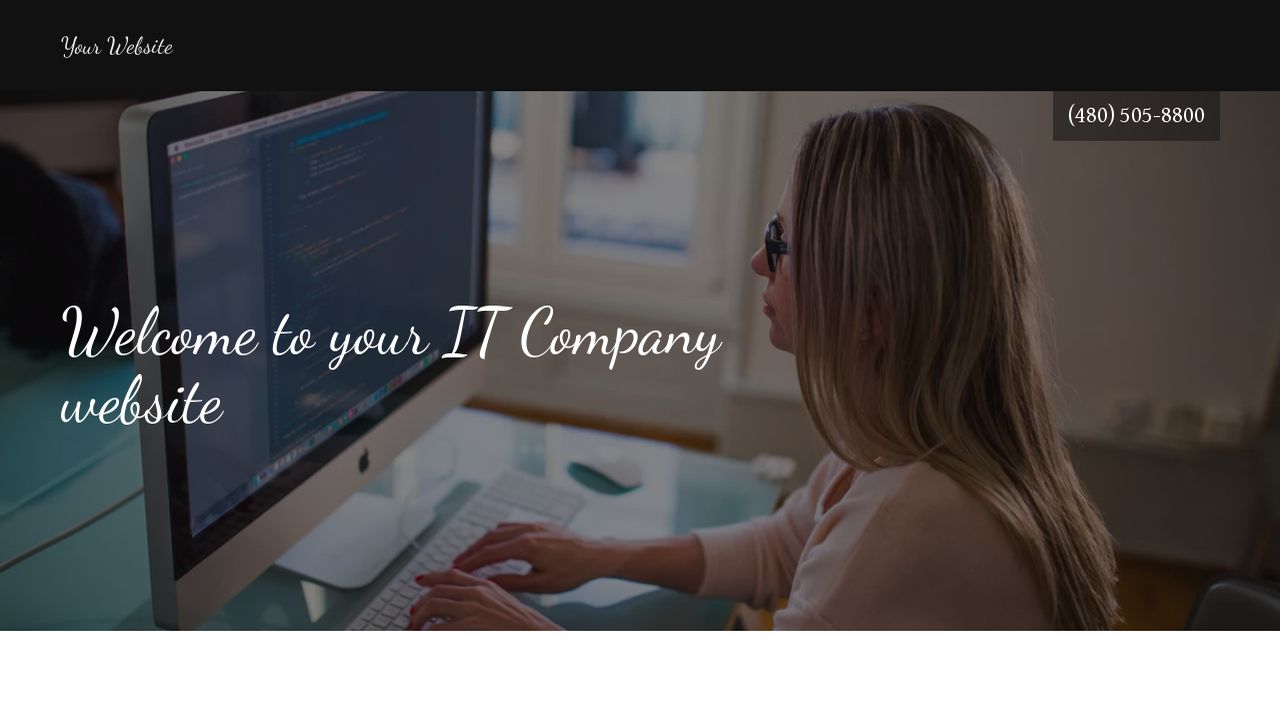 IT Company Website: Example 16