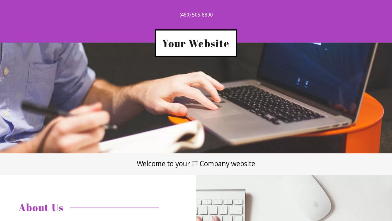 IT Company Website: Example 17