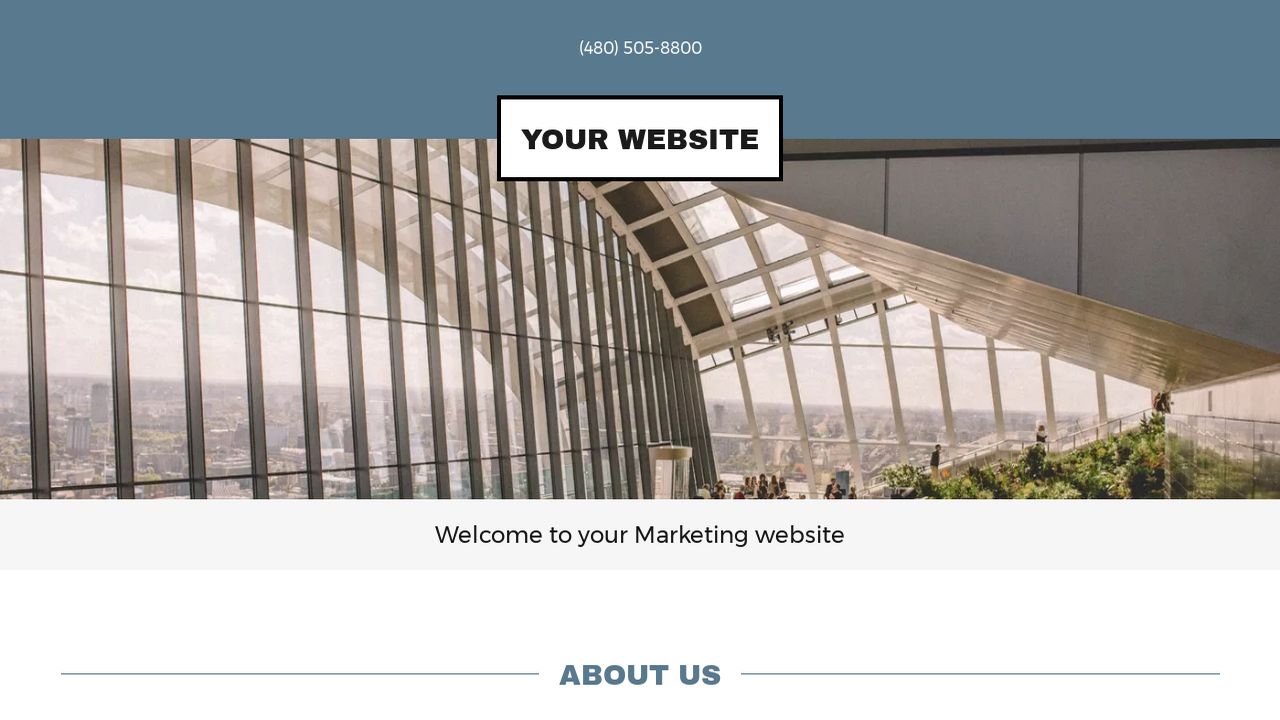 Marketing Website: Example 11