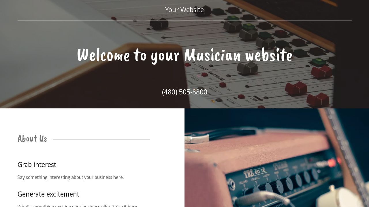Example 14 Musician site Template GoDaddy