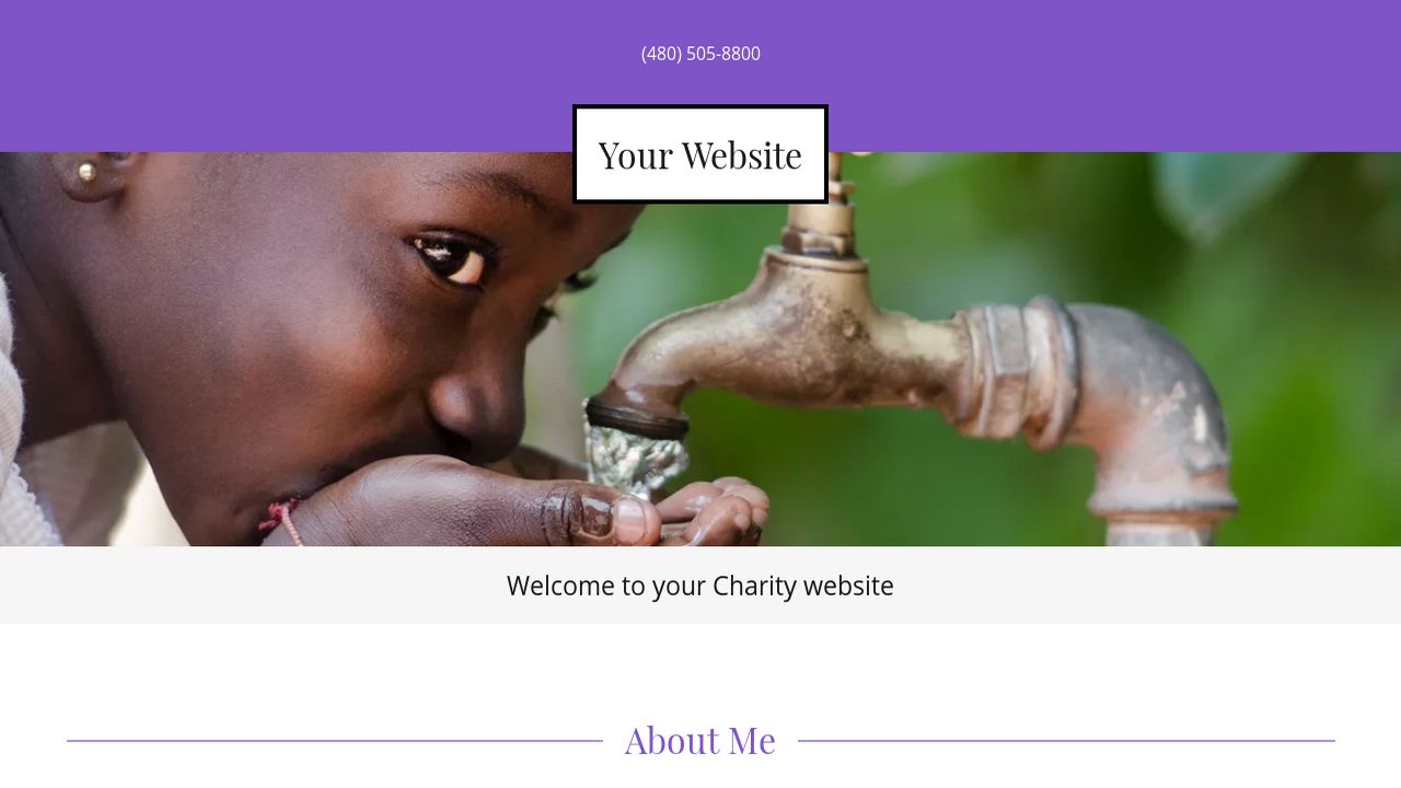 Charity Website: Example 10