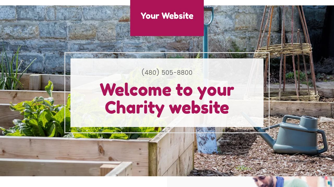Charity Website: Example 12