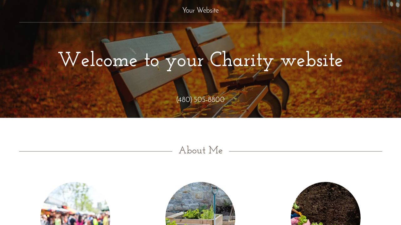 Charity Website: Example 13