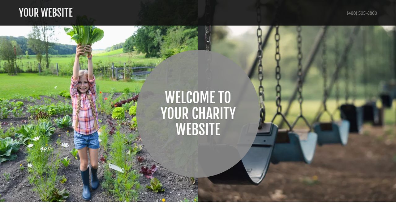 Charity Website: Example 14