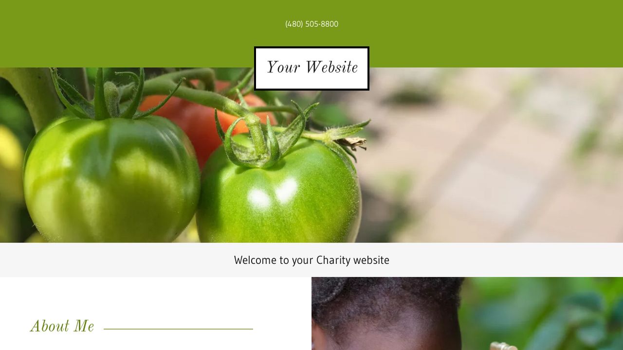 Charity Website: Example 17