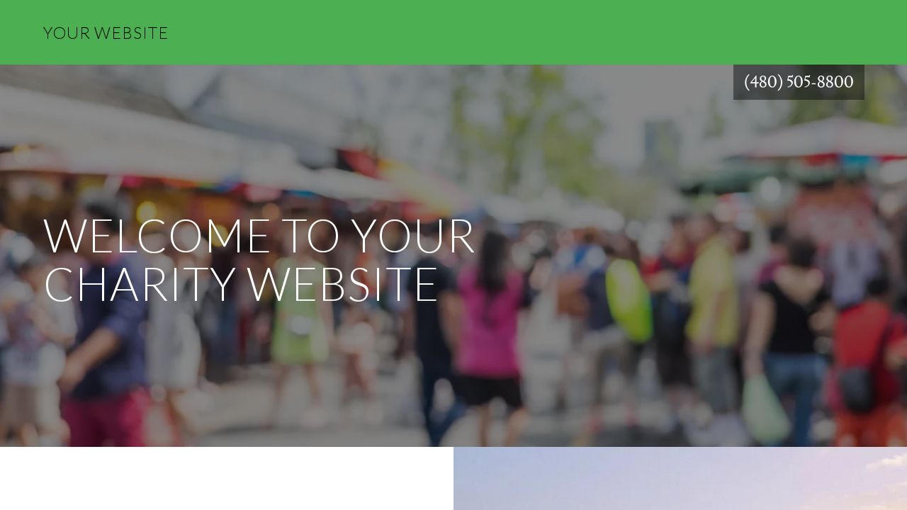 Charity Website: Example 2