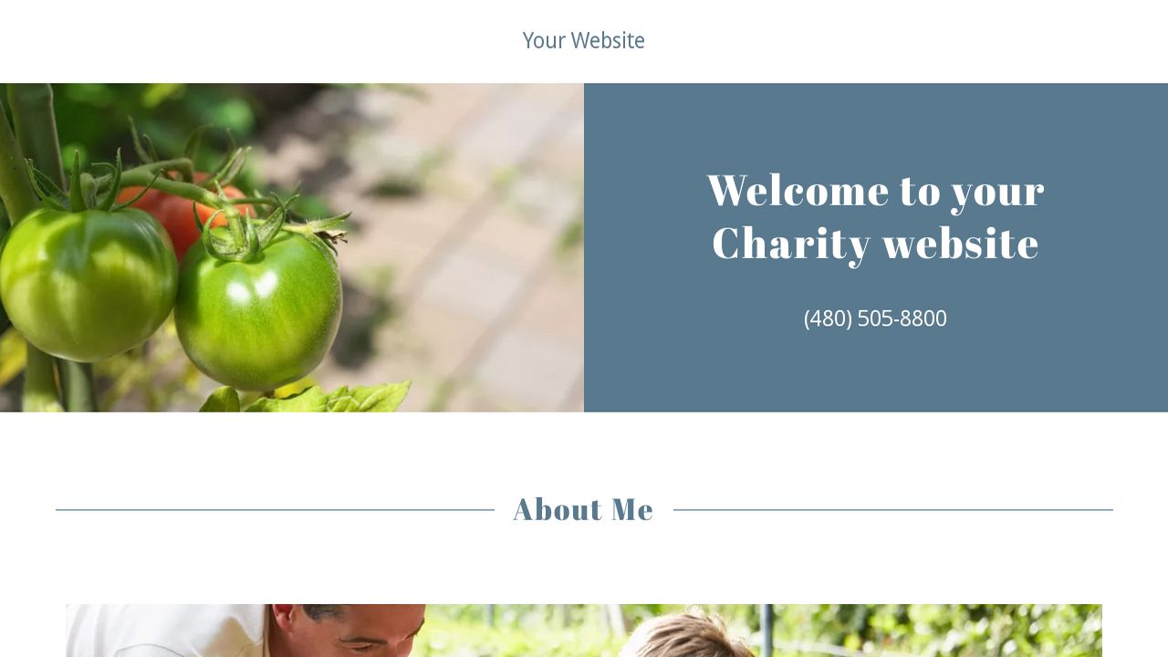 Charity Website: Example 4
