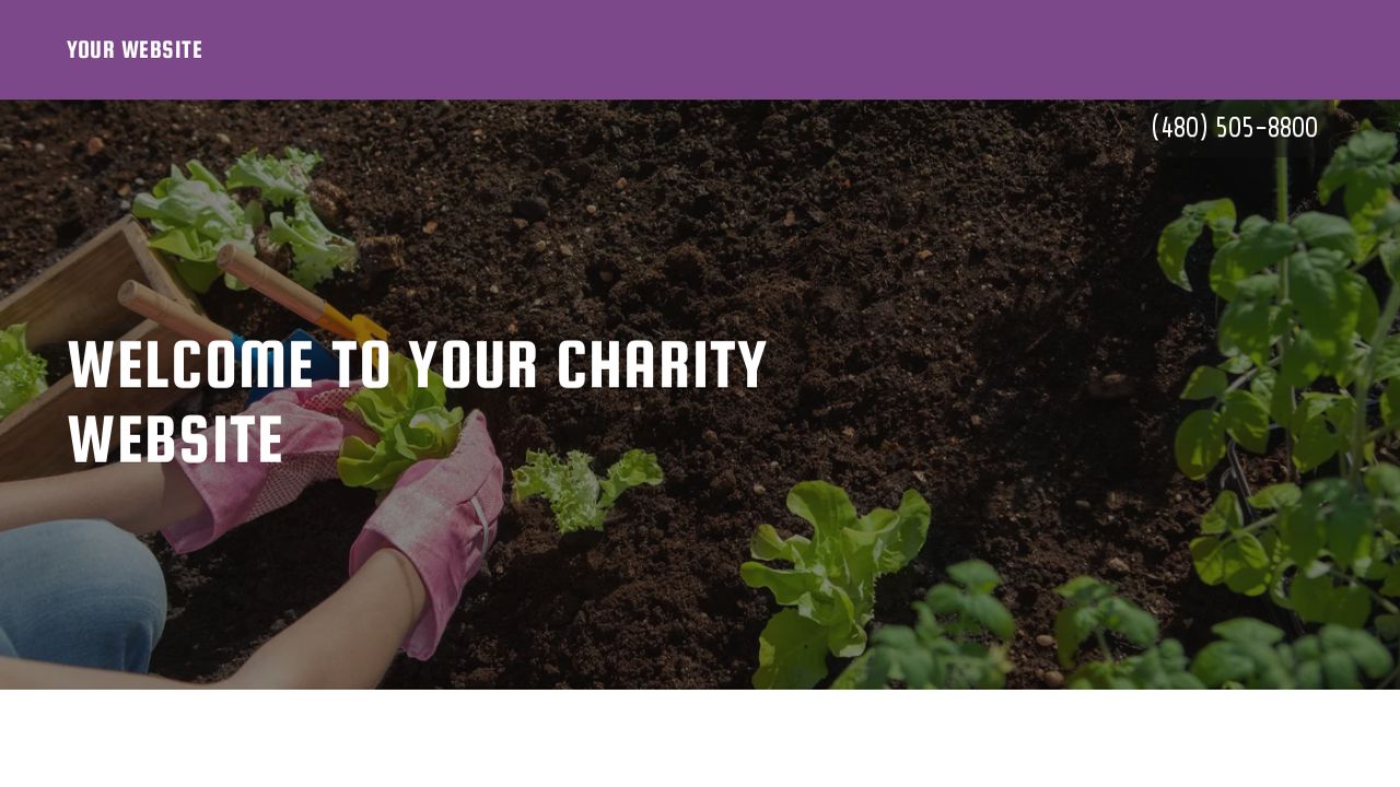 Charity Website: Example 9