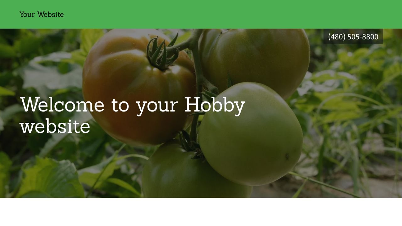 Hobby Website: Example 15