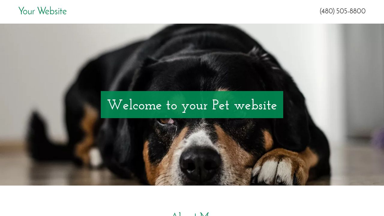Pet Website: Example 4