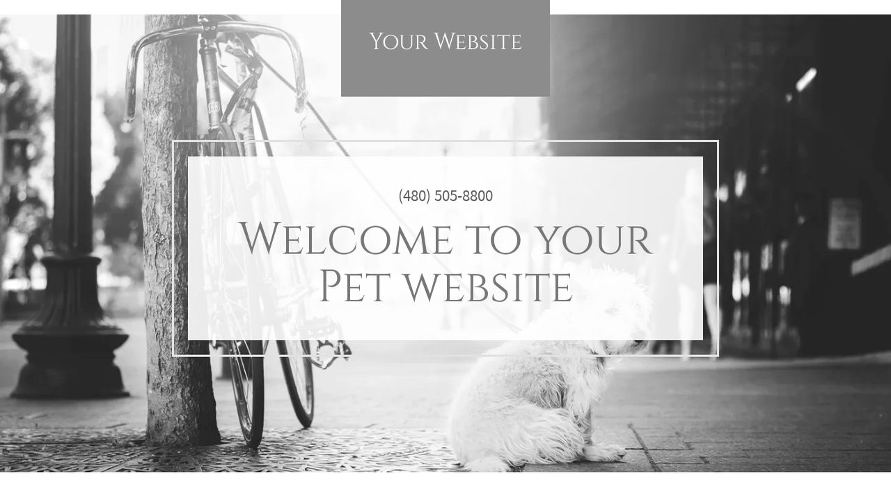Pet Website: Example 5