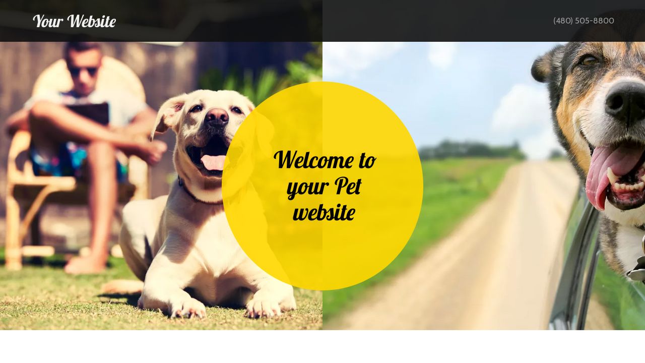 Pet Website: Example 9