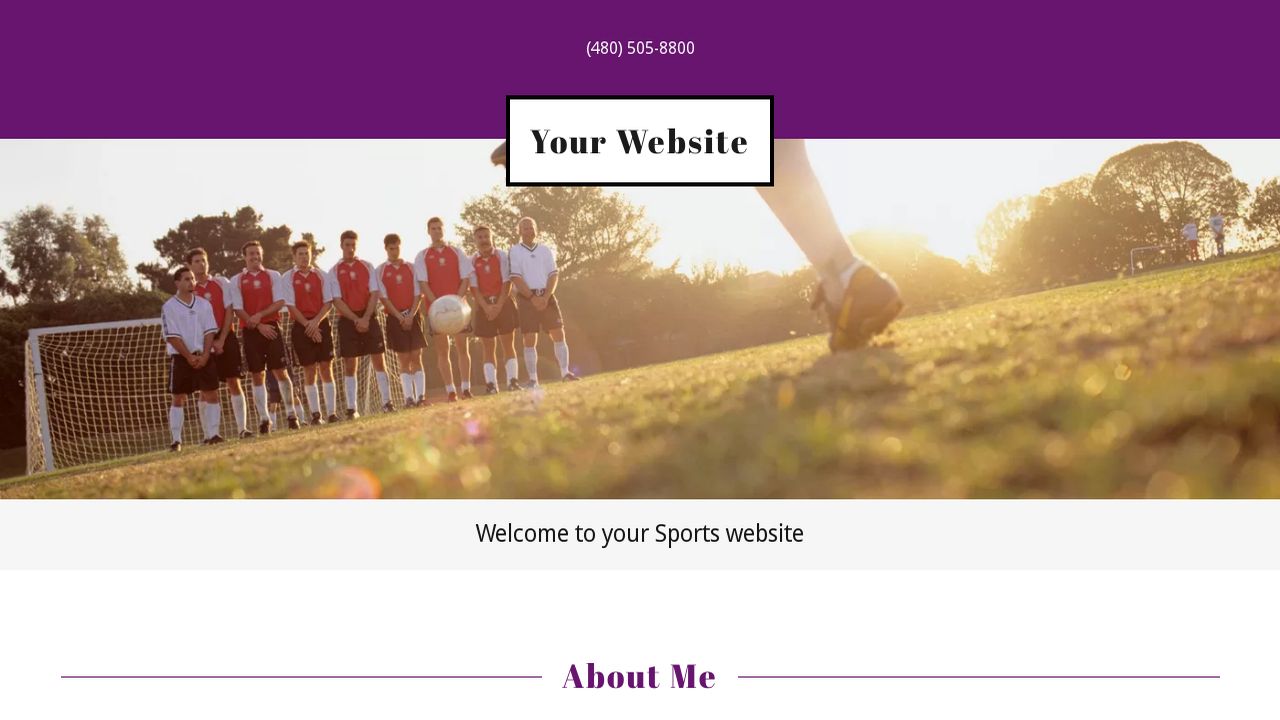 Sports Website: Example 9