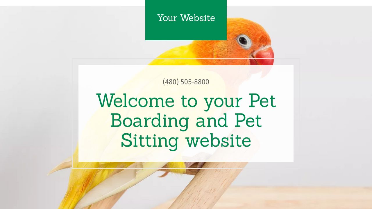 Pet Boarding and Pet Sitting site Templates GoDaddy