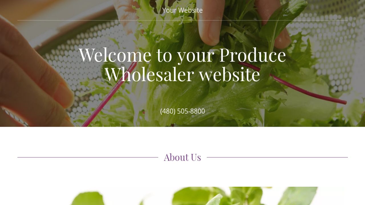 Example 17 Produce Wholesaler site Template GoDaddy