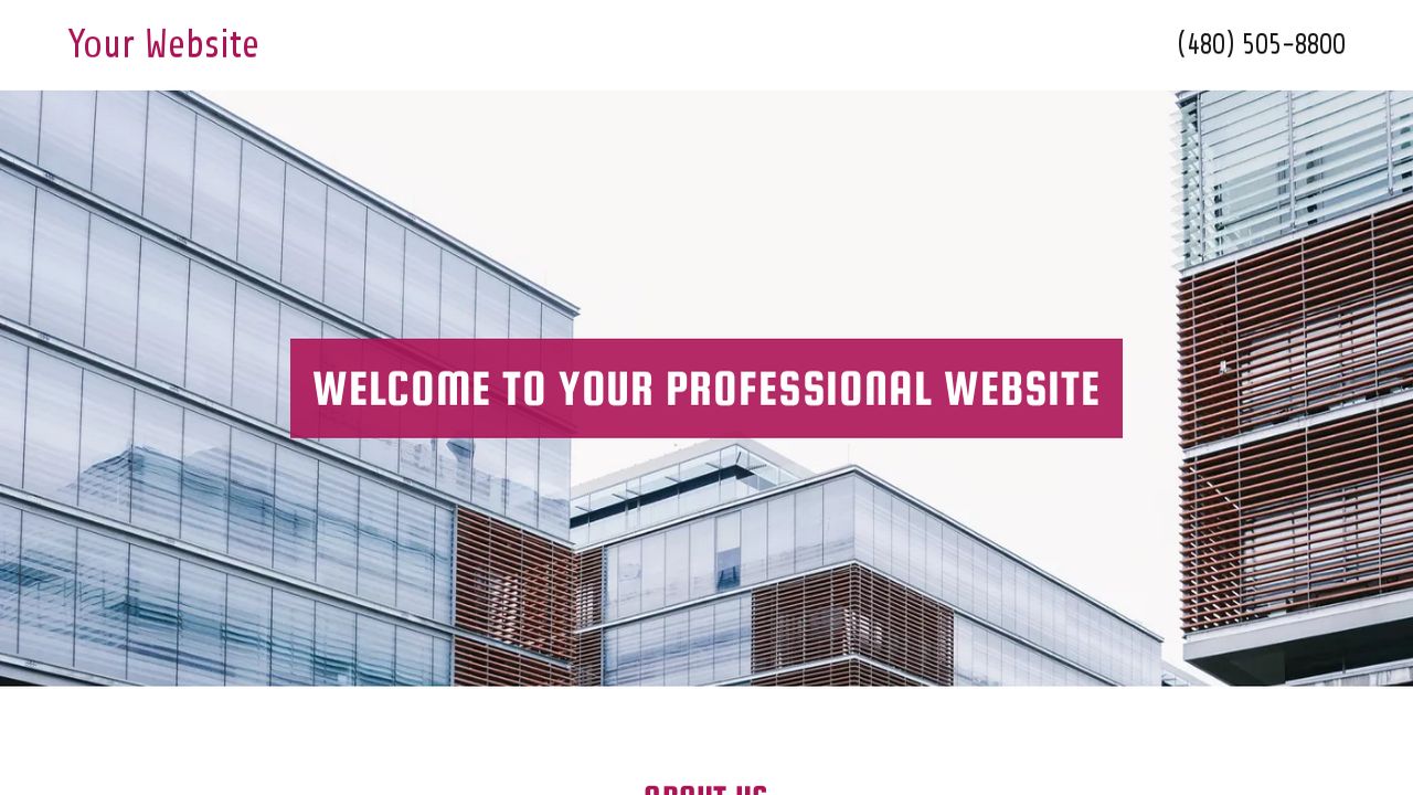 Professional Website: Example 7